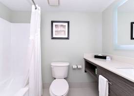 Holiday Inn Express & Suites NAPLES NORTH - BONITA SPRINGS by IHG 4