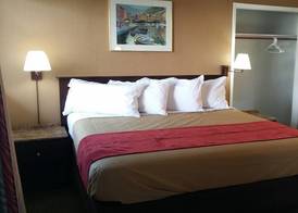 The Palms On Ocean 5