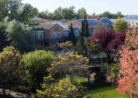 DISNEY'S HOTEL CHEYENNE - OFFERTA SPECIALE -INCL INGRESSI AI PARCHI 2