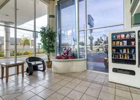 Rodeway Inn Clearwater-Largo 4