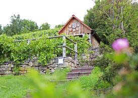 Hotel Restaurant Lamm Hebsack 5