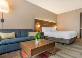 Holiday Inn Express & Suites RUSKIN - SUN CITY by IHG 3