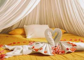 Akumal Natura Glamping 5