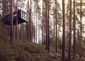 Treehotel 5