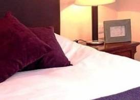 The Swan Inn 3