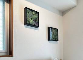 Dash Living Shinjuku 2