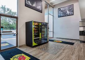 Super 8 by Wyndham Melbourne 4