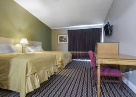Super 8 by Wyndham Battleboro/Rocky Mount 4