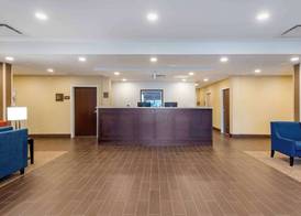 Comfort Inn & Suites 2