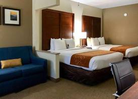 Vista Suites Near Island and Leconte Convention Center 2