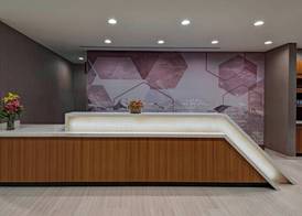SpringHill Suites by Marriott Denver West/Golden 5