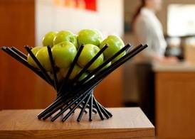 Hyatt Place Dallas/North Arlington/Grand Prairie 2