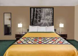 Super 8 by Wyndham Ionia MI 3