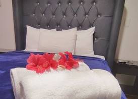 Acuarium Suite Resort 4