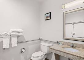 Comfort Suites Lindale - Tyler North 5