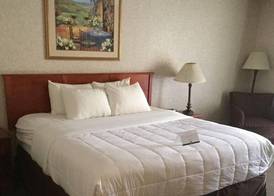 Quality Inn & Suites Albuquerque Midtown - University Area 5