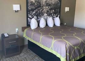 SureStay Hotel by Best Western Alexandria 4