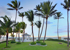 The Reserve at Paradisus Punta Cana 3