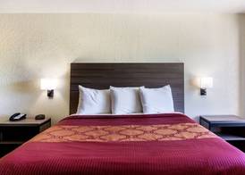 OYO Inn & Suites Medical Center San Antonio 5