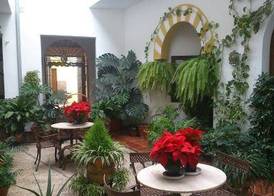 Hotel San Miguel 5