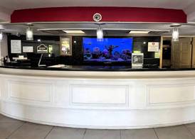 Ramada by Wyndham Birmingham Airport 3