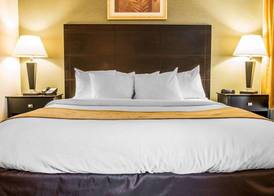 Comfort Inn Whitehall near Michigan's Adventure 4