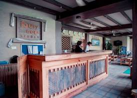 Busy Bee Resort, Pokhara 3
