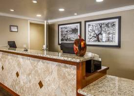Hotel Med Park, an Ascend Collection Hotel 3
