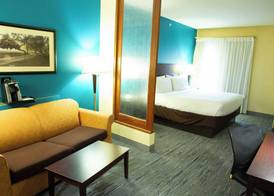 Holiday Inn Express & Suites HARRISBURG W - MECHANICSBURG by IHG 5