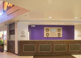 Comfort Suites Maingate East 2