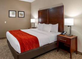 Comfort Inn & Suites Canton Riverstone Area 2