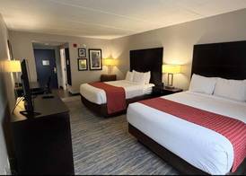 Comfort Inn & Suites Tampa North I-75 4