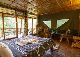 Rushaga Gorilla Lodge 3
