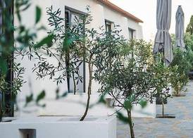 Convento Sao Paulo - Hotel Rural 5