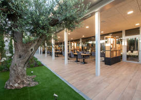 Tarraco Park Tarragona 5