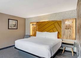 The Wander Hotel by Wyndham 4