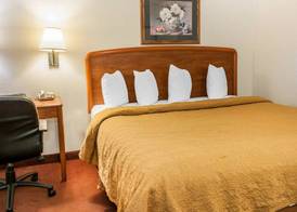Quality Inn South 4