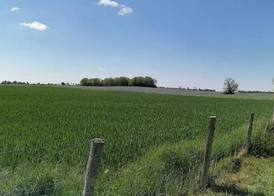 FERME DU CAROIRE 5