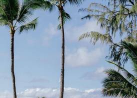 The Ritz-Carlton Maui, Kapalua 2