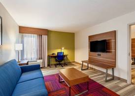 Holiday Inn Express TAMPA-BRANDON by IHG 3
