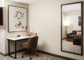 SpringHill Suites by Marriott Dallas Downtown / West End 5