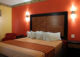 Magnolia Inn and Suites Southaven 3