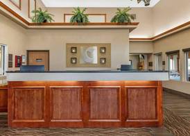 Comfort Inn & Suites Dimondale - Lansing 3