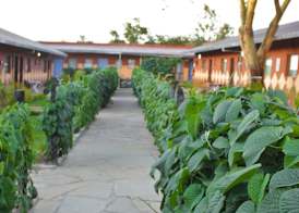 Sweet Lake Resort 2