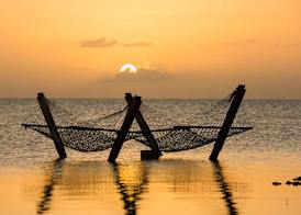 Mahogany Bay Resort & Beach Club, Curio Collection by Hilton 2