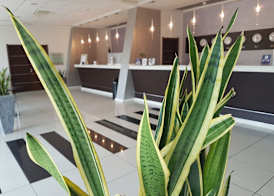 Best Western Hotel Class Lamezia 5