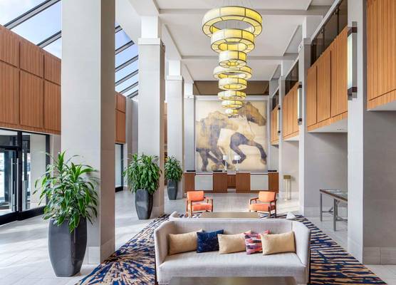 Hilton Arlington 1