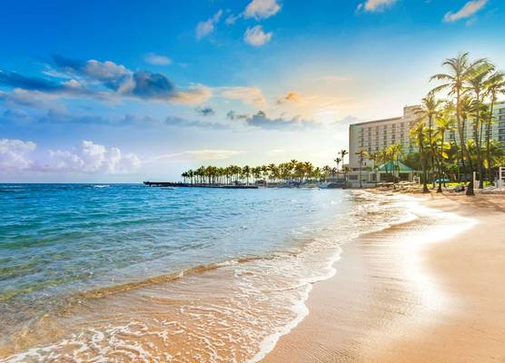 Caribe Hilton 1