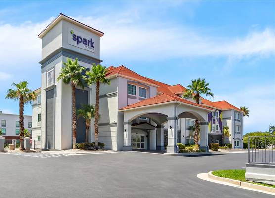 Spark by Hilton Kingsland 1