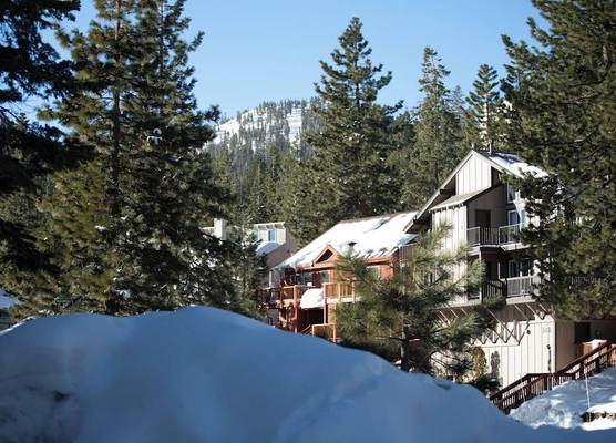 Tahoe Trail Resort 1